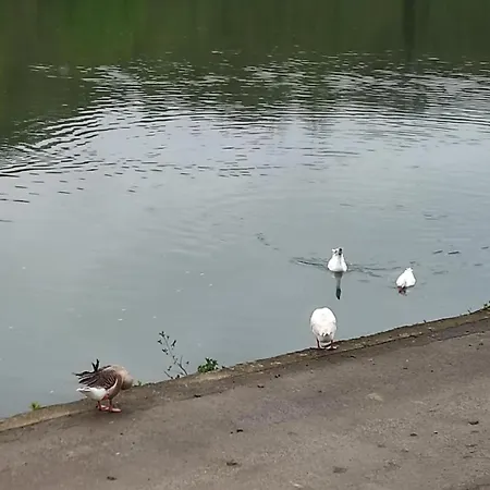 Дом отдыха Charming Riverside House With Jacuzzi And Gym Блемон