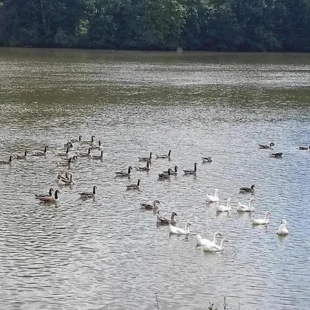 Charming Riverside House With Jacuzzi And Gym Дом отдыха