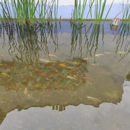 Charming Riverside House With Jacuzzi And Gym Дом отдыха Блемон