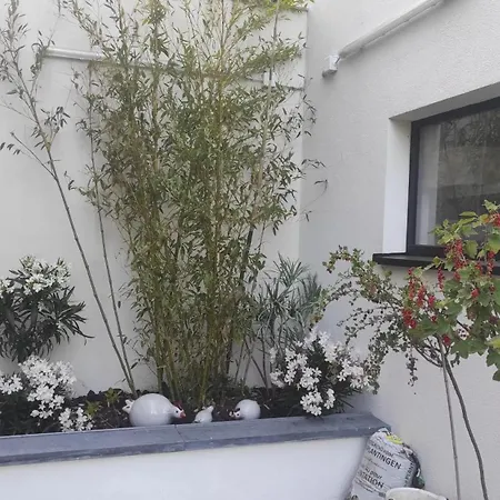 Charming Riverside House With Jacuzzi And Gym *